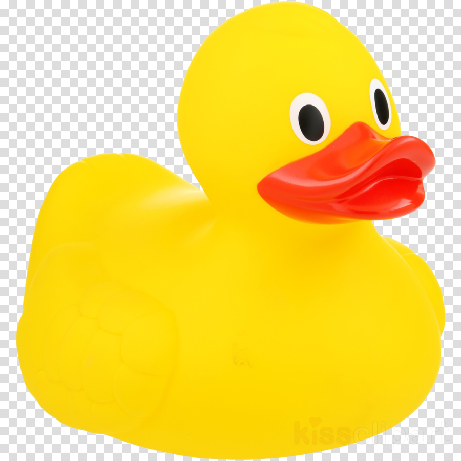 rubber ducky